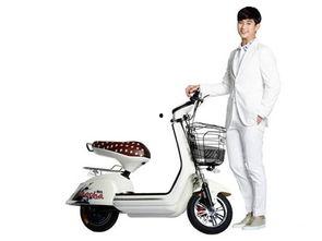 吃瓜娱乐酱电瓶车,揭秘网红电瓶车的魅力与争议